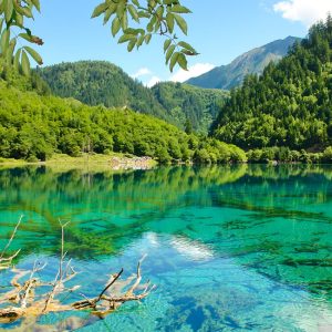 Jiuzhaigou 2